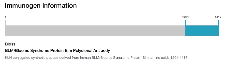 BLM/Blooms Syndrome Protein Blm Polyclonal Antibody