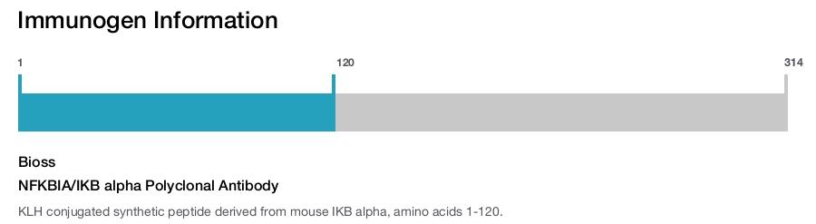 NFKBIA/IKB alpha Polyclonal Antibody