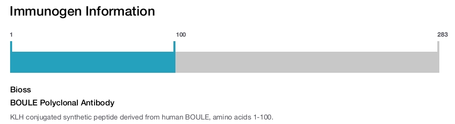 BOULE Polyclonal Antibody