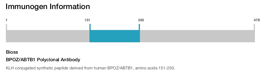 BPOZ/ABTB1 Polyclonal Antibody