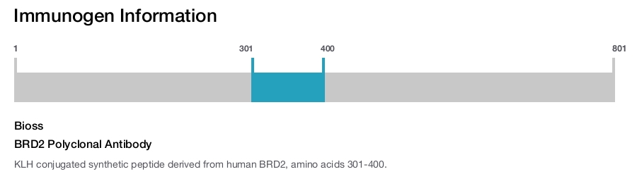 BRD2 Polyclonal Antibody