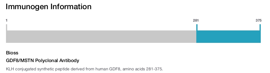 GDF8/MSTN Polyclonal Antibody