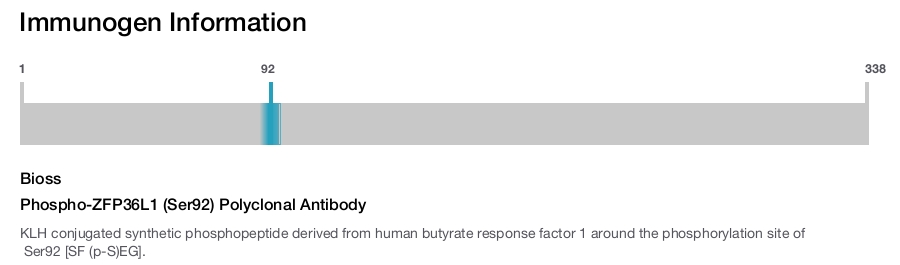 Phospho-ZFP36L1 (Ser92) Polyclonal Antibody