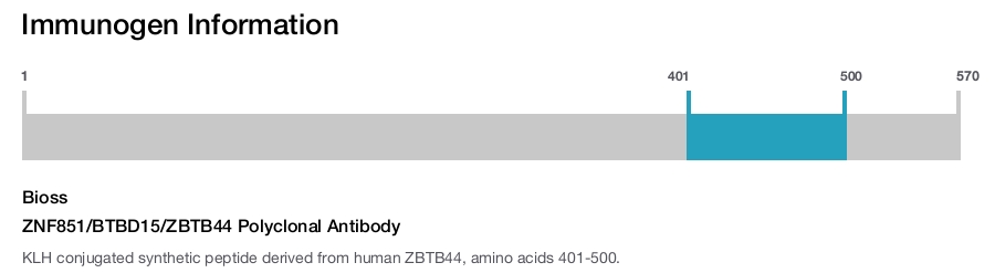 ZNF851/BTBD15/ZBTB44 Polyclonal Antibody
