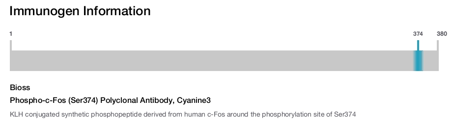 Phospho-c-Fos (Ser374) Polyclonal Antibody, Cyanine3