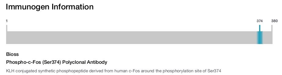 Phospho-c-Fos (Ser374) Polyclonal Antibody