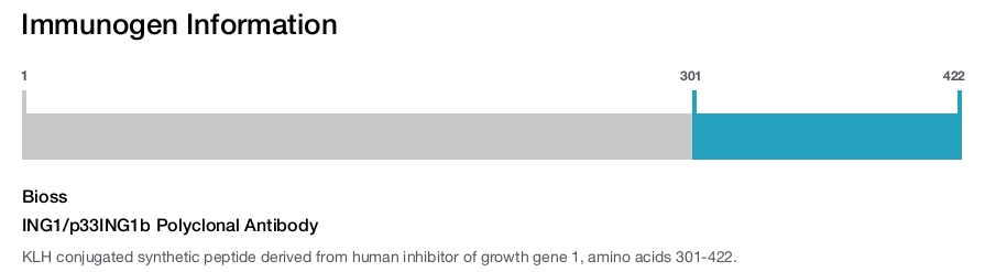 ING1/p33ING1b Polyclonal Antibody