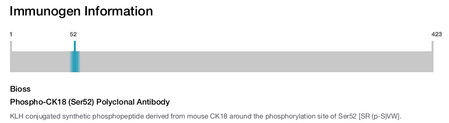 Phospho-CK18 (Ser52) Polyclonal Antibody