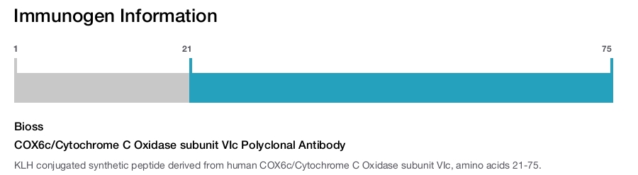 COX6c/Cytochrome C Oxidase subunit VIc Polyclonal Antibody