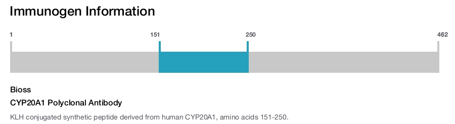 CYP20A1 Polyclonal Antibody