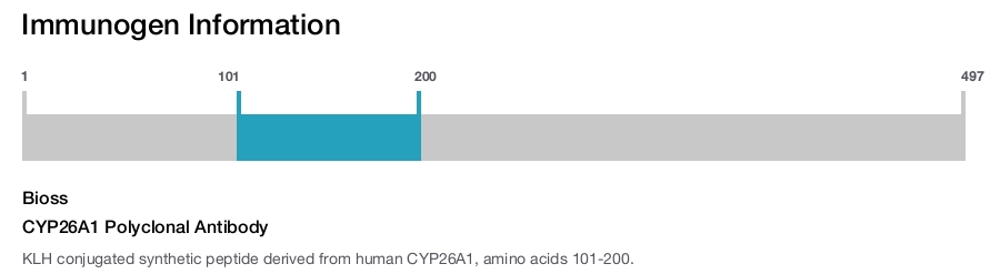 CYP26A1 Polyclonal Antibody
