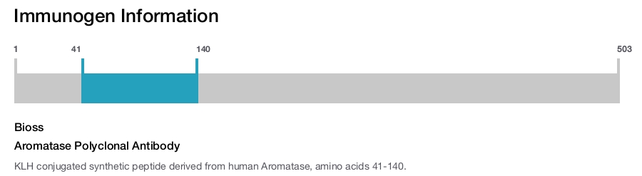 Aromatase Polyclonal Antibody