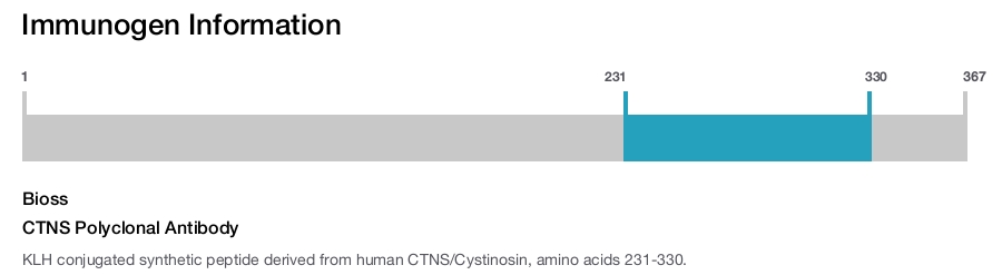 CTNS Polyclonal Antibody