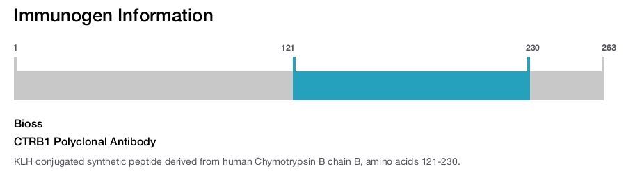 CTRB1 Polyclonal Antibody