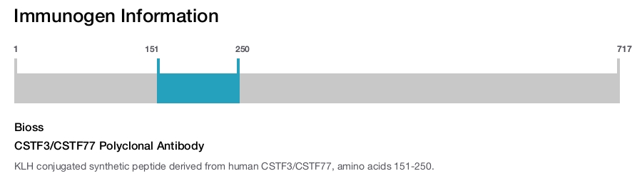 CSTF3/CSTF77 Polyclonal Antibody