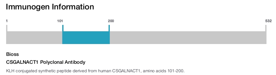 CSGALNACT1 Polyclonal Antibody