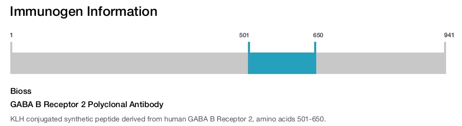 GABA B Receptor 2 Polyclonal Antibody