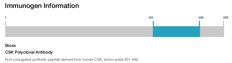 CSK Polyclonal Antibody