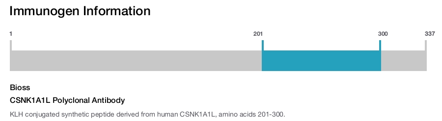 CSNK1A1L Polyclonal Antibody