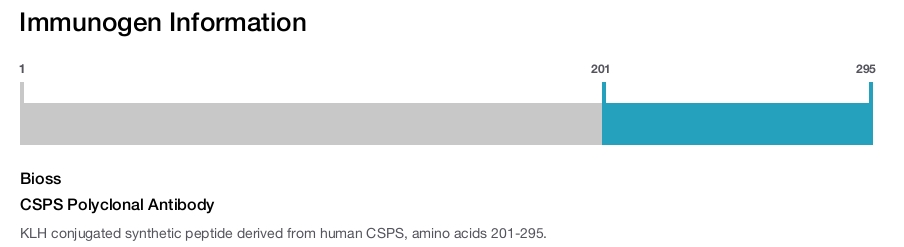 CSPS Polyclonal Antibody