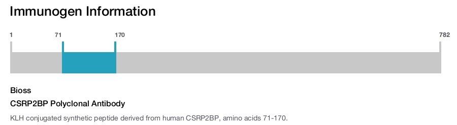 CSRP2BP Polyclonal Antibody