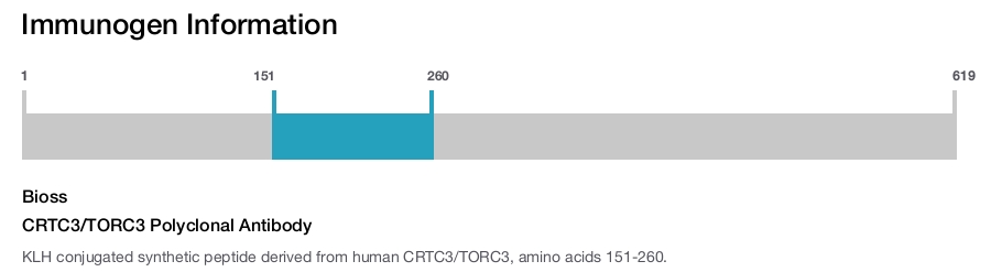 CRTC3/TORC3 Polyclonal Antibody