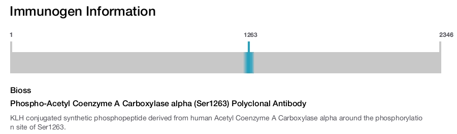 Phospho-Acetyl Coenzyme A Carboxylase alpha (Ser1263) Polyclonal Antibody
