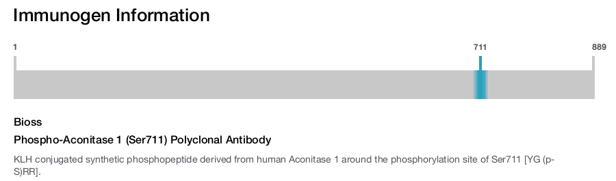 Phospho-Aconitase 1 (Ser711) Polyclonal Antibody