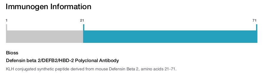 Defensin beta 2/DEFB2/HBD-2 Polyclonal Antibody