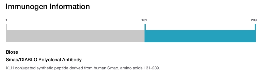 Smac/DIABLO Polyclonal Antibody