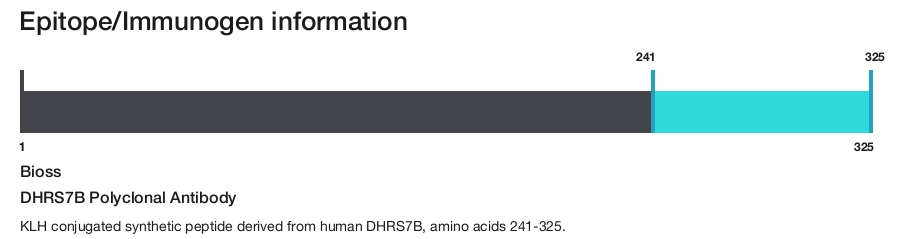 DHRS7B Polyclonal Antibody