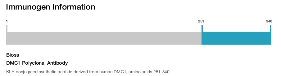 DMC1 Polyclonal Antibody