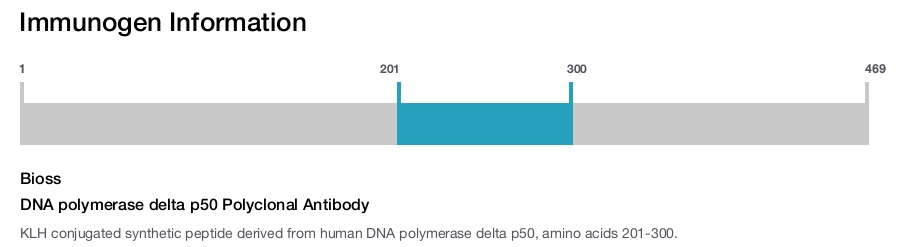 DNA polymerase delta p50 Polyclonal Antibody
