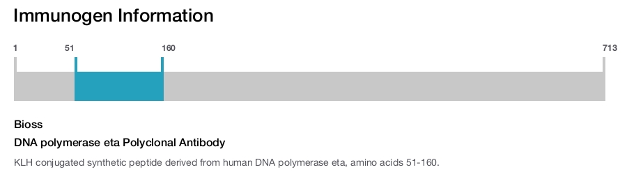 DNA polymerase eta Polyclonal Antibody