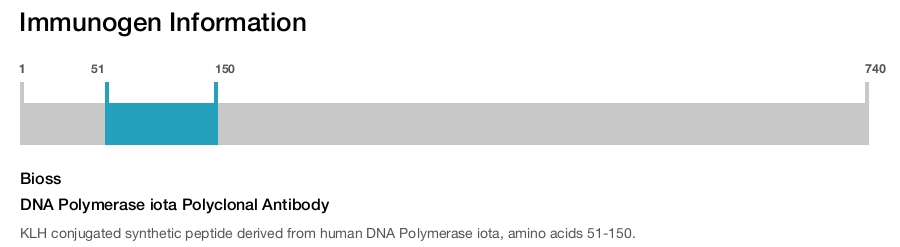 DNA Polymerase iota Polyclonal Antibody