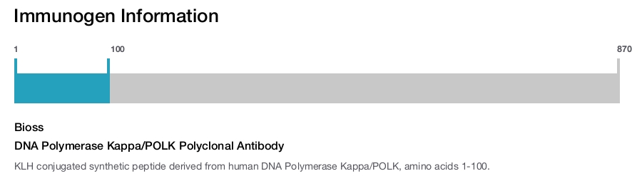 DNA Polymerase Kappa/POLK Polyclonal Antibody