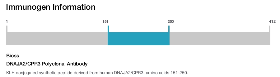 DNAJA2/CPR3 Polyclonal Antibody