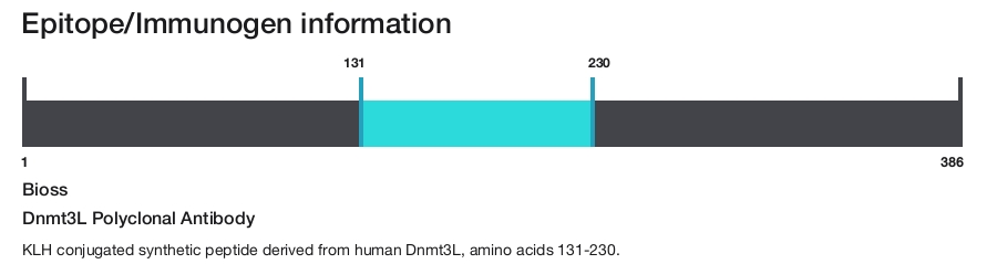 Dnmt3L Polyclonal Antibody