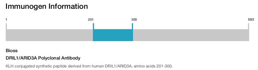 DRIL1/ARID3A Polyclonal Antibody