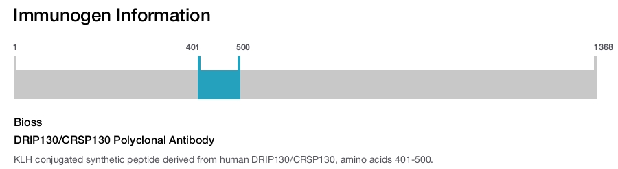 DRIP130/CRSP130 Polyclonal Antibody