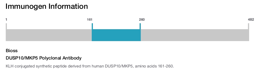 DUSP10/MKP5 Polyclonal Antibody