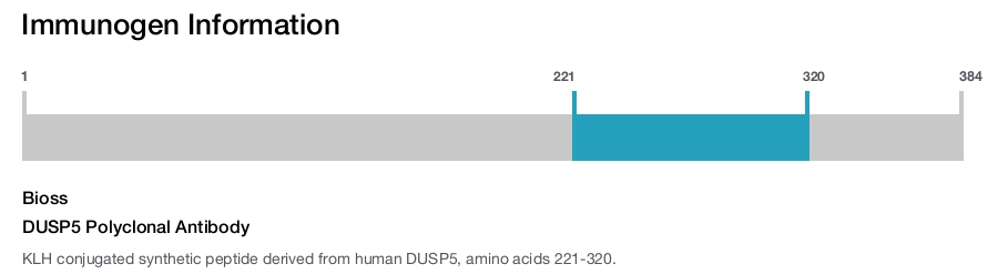 DUSP5 Polyclonal Antibody