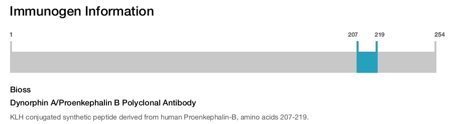 Dynorphin A/Proenkephalin B Polyclonal Antibody