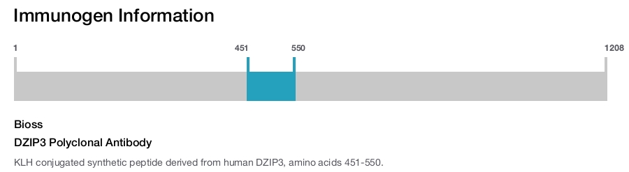 DZIP3 Polyclonal Antibody