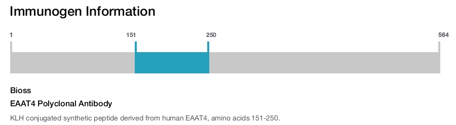 EAAT4 Polyclonal Antibody