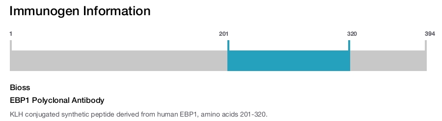 EBP1 Polyclonal Antibody