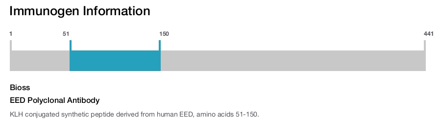 EED Polyclonal Antibody