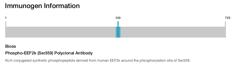 Phospho-EEF2k (Ser359) Polyclonal Antibody