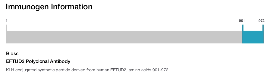 EFTUD2 Polyclonal Antibody