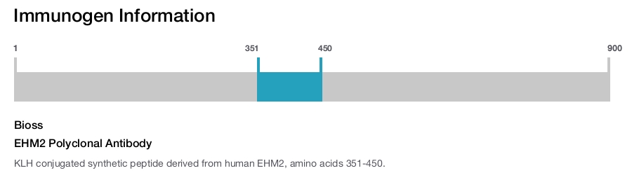 EHM2 Polyclonal Antibody
